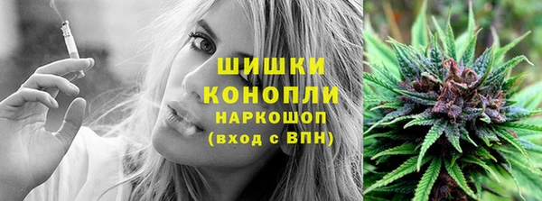 индика Магадан