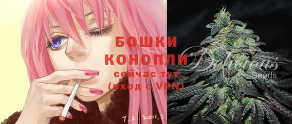 индика Магадан